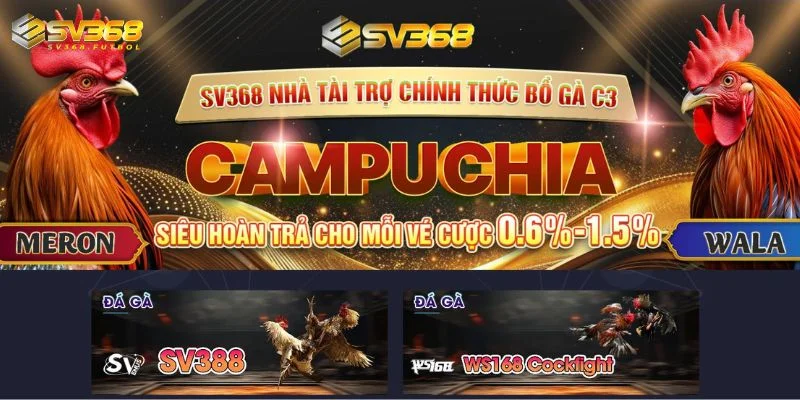 gioi thieu da ga thomo sv368