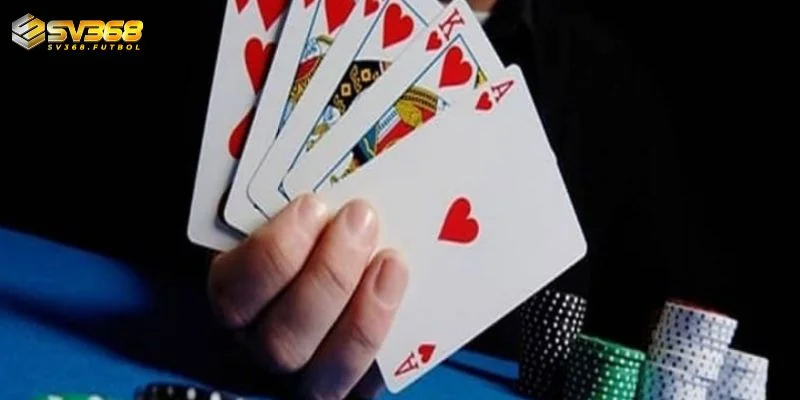 sam loc online la gi