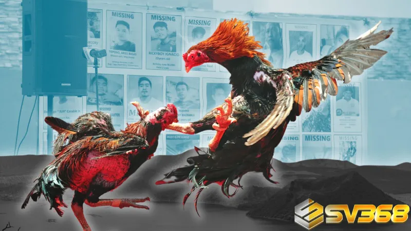 Biệt Giữa Tonhon Và Thomo